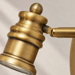 Charger l'image dans la visionneuse de galerie, Aurelia Brushed Brass Adjustable Vanity Wall Light