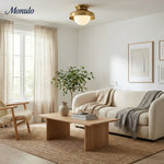 Bild in Gallery-Viewer laden, Hanton Aufputz-Deckenleuchte – Modernes minimalistisches Leuchtmittel mit Milchglas- und Metallschirm