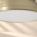 Charger l'image dans la visionneuse de galerie, Metal Flush Mount Ceiling Fixture with Frosted Diffuser