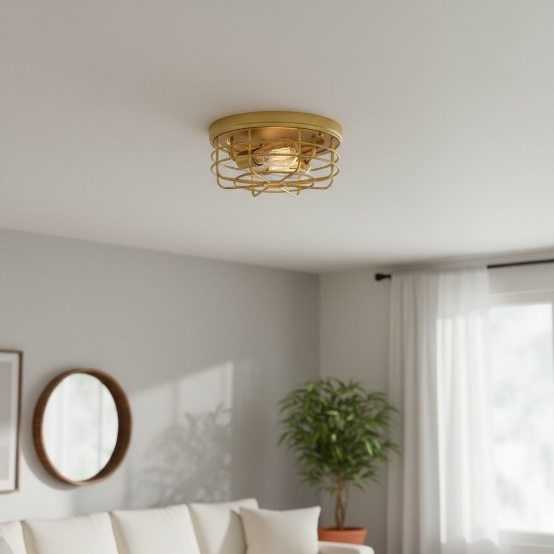 Lámpara de Techo Redonda con Jaula de Metal Gridray Estilo Industrial – Iluminación Interior para Cocina y Entrada