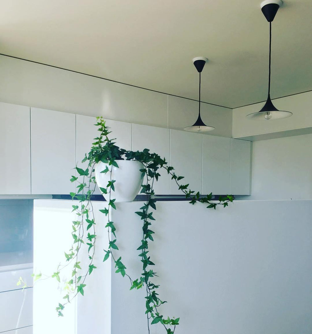 Arch-Shaped Aluminum Plug-In Pendant Light