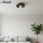 Load image into Gallery viewer, Kalo Versatile Glass Disc Modern Wall/Ceiling Fixture with Color-Accent Rim for Living Spaces