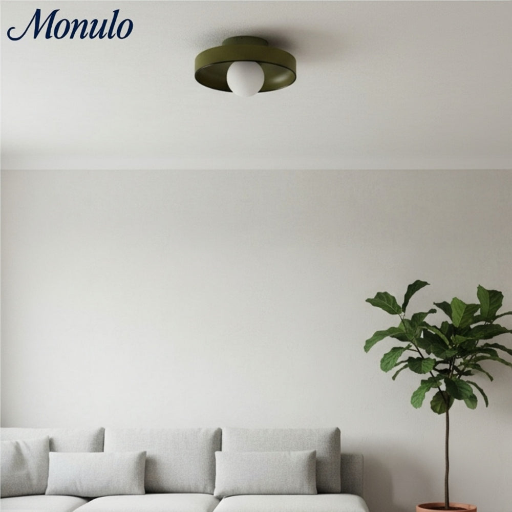 Kalo Versatile Glass Disc Modern Wall/Ceiling Fixture with Color-Accent Rim for Living Spaces