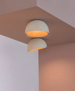 Charger l'image dans la visionneuse de galerie, Lampe de plafond Duo