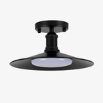 Cargar imagen en el visor de la Galería, Leviaxa Outdoor Metal Pendant and Ceiling Light