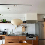 Bild in Gallery-Viewer laden, Mulberry Paper Plug-In Pendant Light
