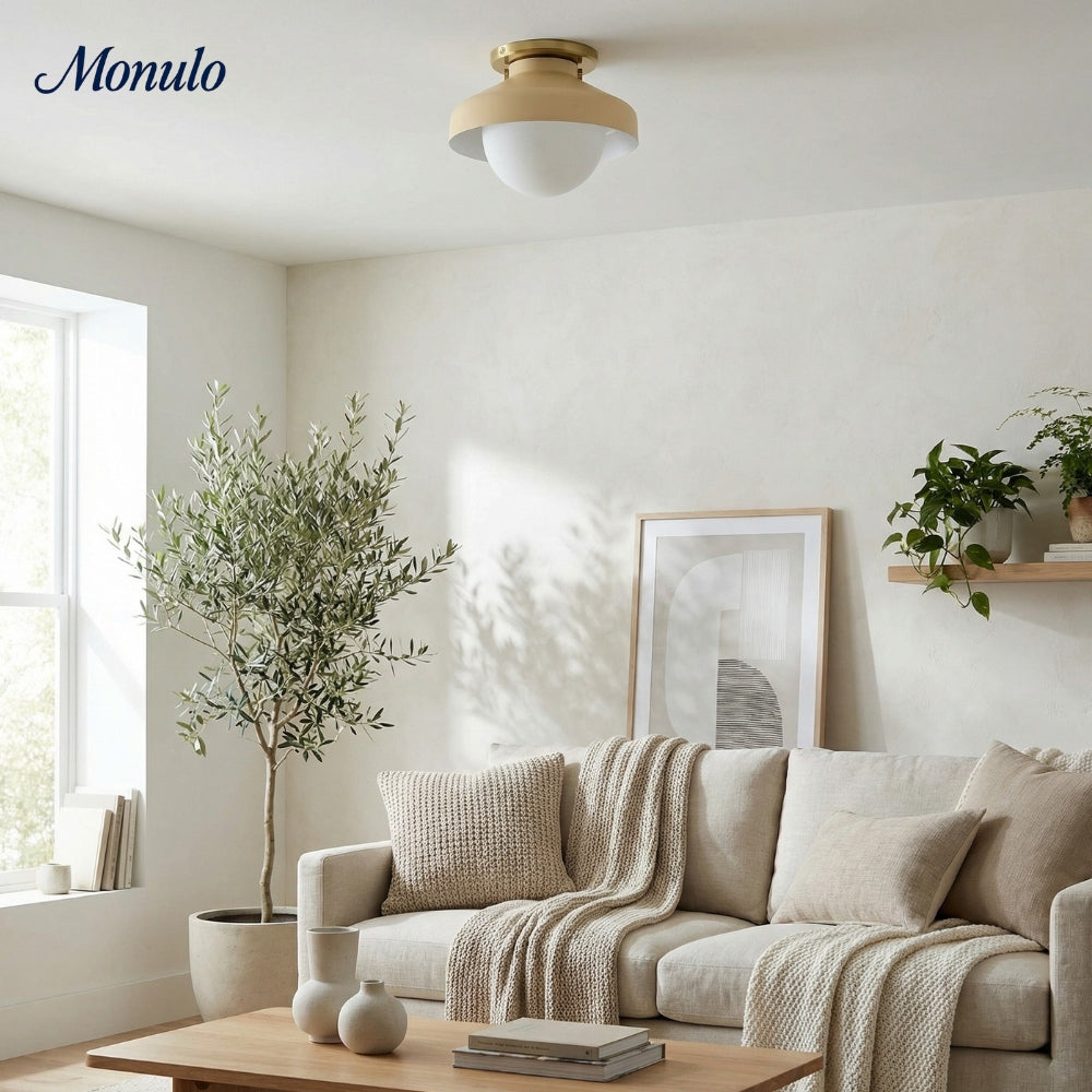 Hanton Aufputz-Deckenleuchte – Modernes minimalistisches Leuchtmittel mit Milchglas- und Metallschirm