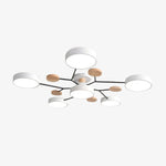 Bild in Gallery-Viewer laden, Celos Diffuses LED-Kugel-Deckenleuchte – Stilvolle Innenbeleuchtung für Inseln und Nischen