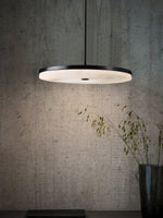Charger l&#39;image dans la visionneuse de galerie, Suspension Wyatt

