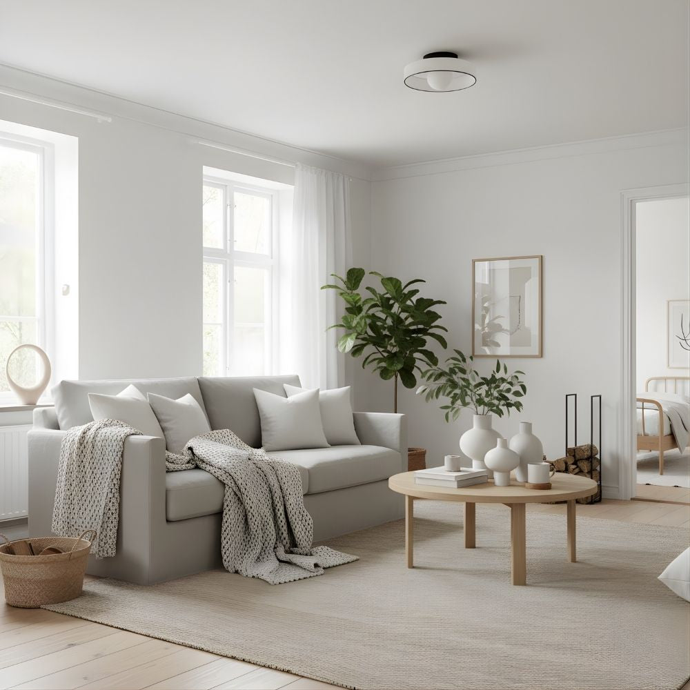 Kalo Versatile Glass Disc Modern Wall/Ceiling Fixture with Color-Accent Rim for Living Spaces