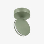 Charger l'image dans la visionneuse de galerie, SPECTRA sage aluminium LED ceiling and wall light