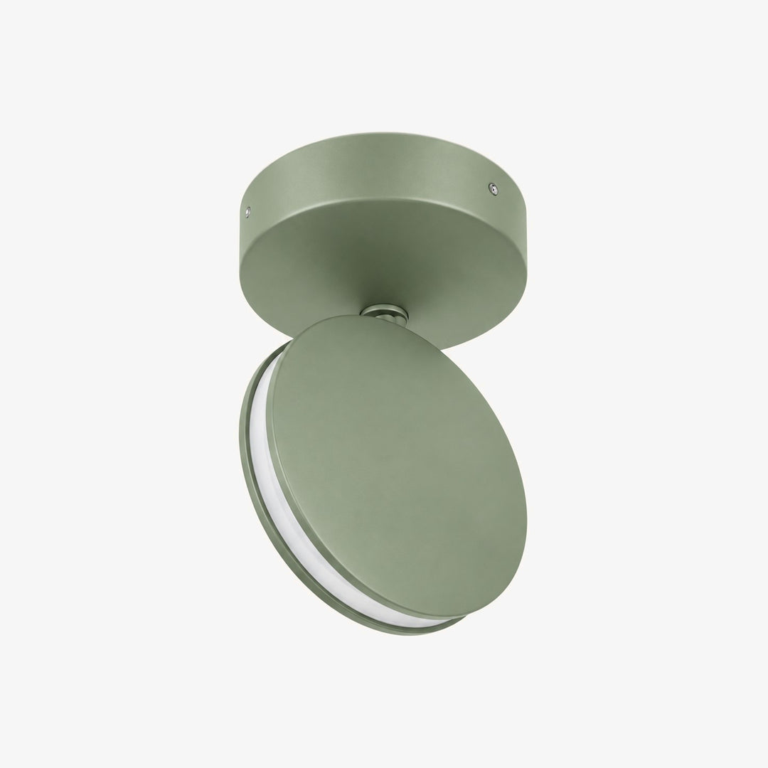 SPECTRA sage aluminium LED ceiling and wall light
