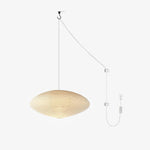 Bild in Gallery-Viewer laden, Mulberry Paper Plug-In Pendant Light