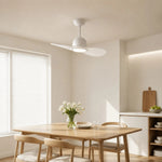Cargar imagen en el visor de la Galería, Designer Hat Two-Blade Ceiling Fan Light scene image