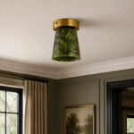 Charger l'image dans la visionneuse de galerie, vintage green and gold ceiling light in a powder room scene