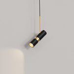Charger l'image dans la visionneuse de galerie, Black And Gold Metal Hardwired Pendant Light