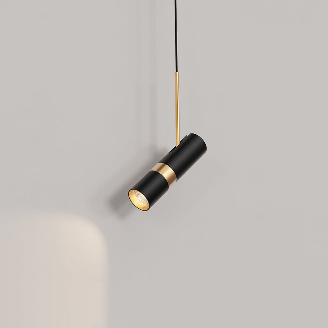 Black And Gold Metal Hardwired Pendant Light
