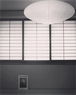 Bild in Gallery-Viewer laden, Mulberry Paper Plug-In Pendant Light