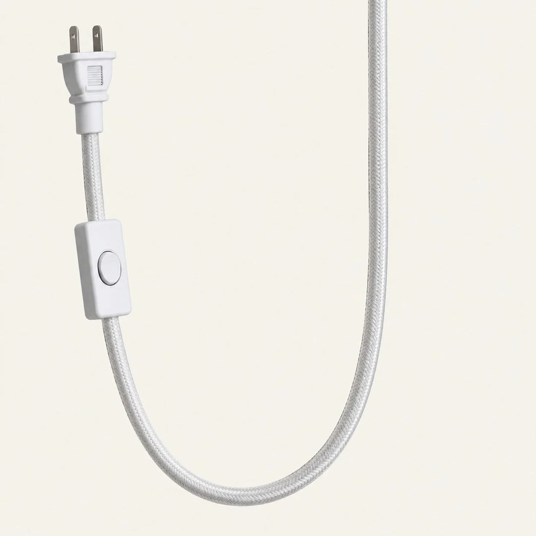 Close-up of braided plug-in cord and inline switch