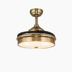 Cargar imagen en el visor de la Galería, Antique brass retractable ceiling fan light style A