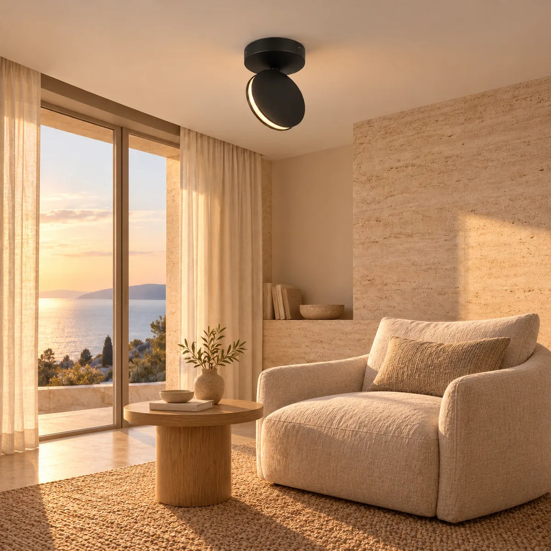 Small Disc You Can Aim at a Reading Spot