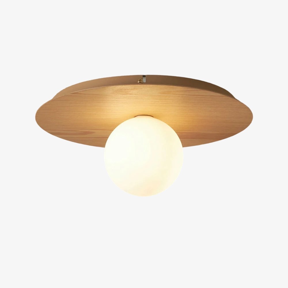 Rivolence Elegant Ring-Silhouette Nordic Wall/ Ceiling Light for Living Room
