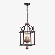 Rustic birdcage pendant lamp with iron frame and wood accent