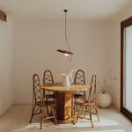 Load image into Gallery viewer, Acoustic Disc Pendant Lamp