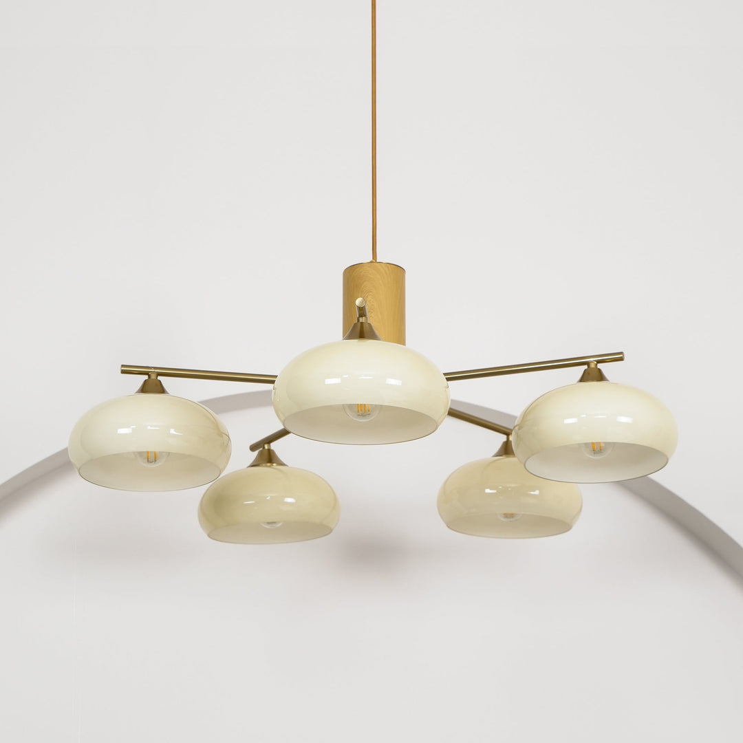 Elliptical Persimmon Chandelier