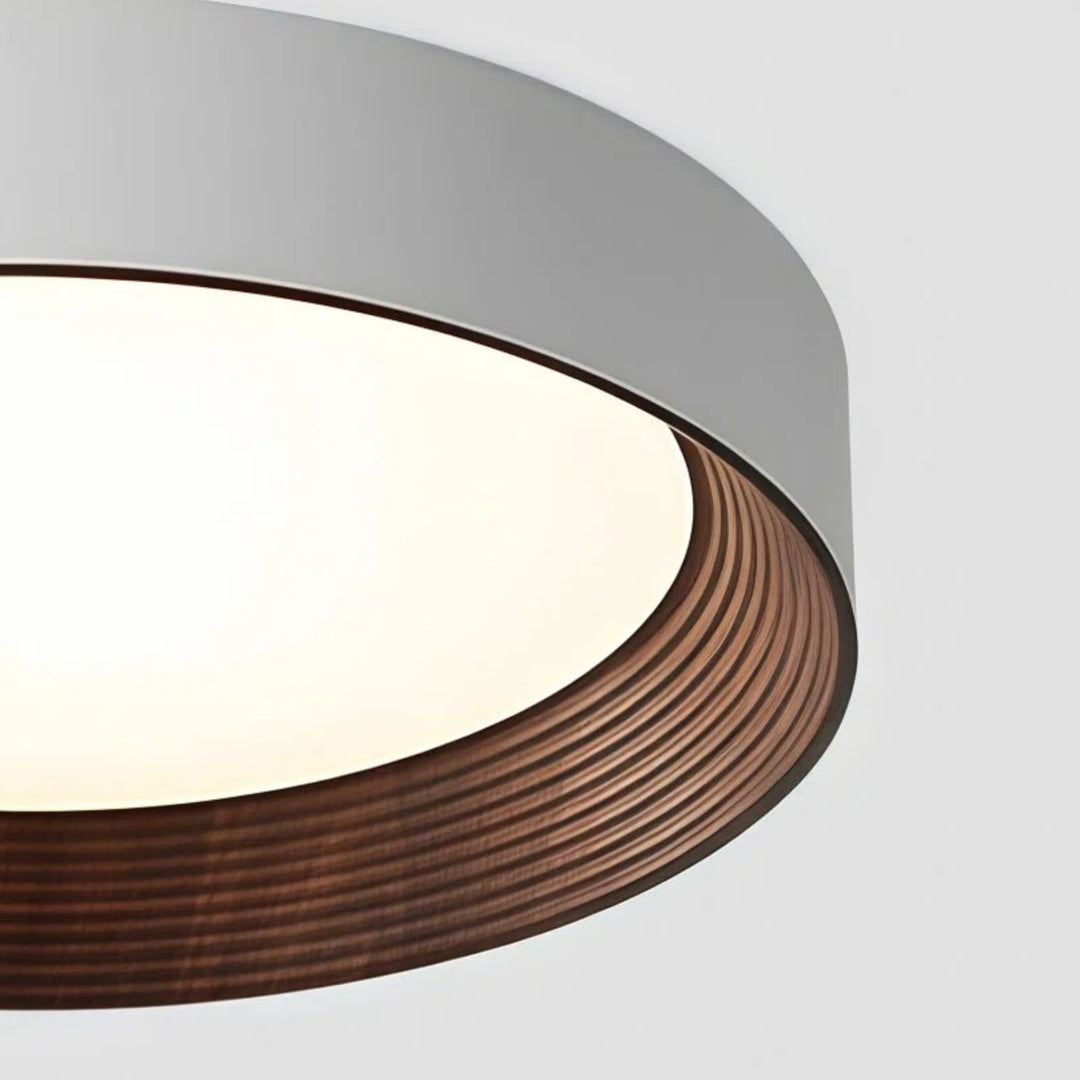 Lámpara de Techo Contemporánea Crelina - Luminaria Empotrada para Pasillo y Comedor U16