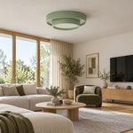 Charger l'image dans la visionneuse de galerie, Stepped Shade Outer Ring Steel Ceiling Light
