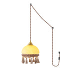 Charger l'image dans la visionneuse de galerie, Tasseled Brass Glass Swag Pendant Light