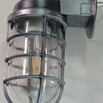 Load image into Gallery viewer, Patnox Clear Glass Industrial Wall Sconce