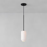 Load image into Gallery viewer, Lumivelle Pebble Pendant Light - Adjustable Glass Shade - Modern Lighting
