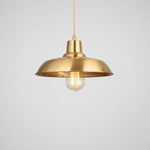 Charger l'image dans la visionneuse de galerie, Brushed brass disc pendant light product view
