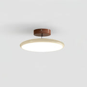 Beige Acrylic Ceiling Mount Modern Adjustable Disc Ceiling Light