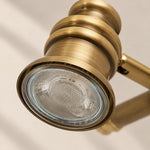 Charger l'image dans la visionneuse de galerie, Aurelia Brushed Brass Adjustable Vanity Wall Light