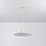 Bild in Gallery-Viewer laden, Arch-Shaped Aluminum Plug-In Pendant Light