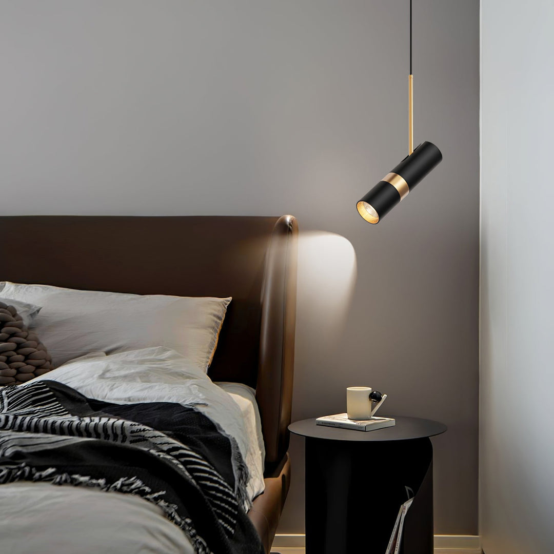Black And Gold Metal Hardwired Pendant Light