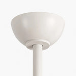 Cargar imagen en el visor de la Galería, Designer Hat Two-Blade Ceiling Fan Light detail image
