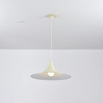 Bild in Gallery-Viewer laden, Arch-Shaped Aluminum Plug-In Pendant Light