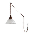 Bild in Gallery-Viewer laden, Natural Wood And Glass Plug-In Pendant