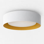 Cargar imagen en el visor de la Galería, Close Ceiling Diffused Shade Metal Canopy Semi-Flush Mount