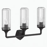 Cargar imagen en el visor de la Galería, Ridged Shade Armed Cup Metal Plate Wall Light