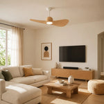Cargar imagen en el visor de la Galería, Designer Hat Two-Blade Ceiling Fan Light scene image