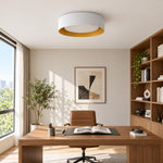 Cargar imagen en el visor de la Galería, Close Ceiling Diffused Shade Metal Canopy Semi-Flush Mount