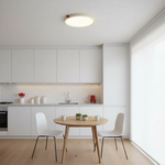 Load image into Gallery viewer, Geos LED Ceiling Light