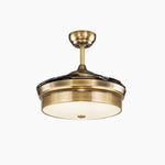 Cargar imagen en el visor de la Galería, Antique brass retractable ceiling fan light style B