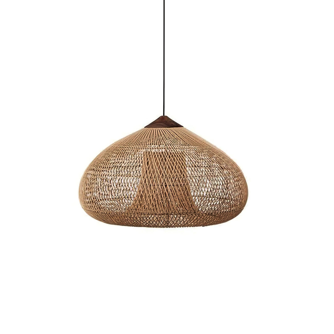 Woven Rattan Wood Plug-In Pendant Light