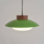 Bild in Gallery-Viewer laden, Saucer Plastic Plug-In Pendant Lamp